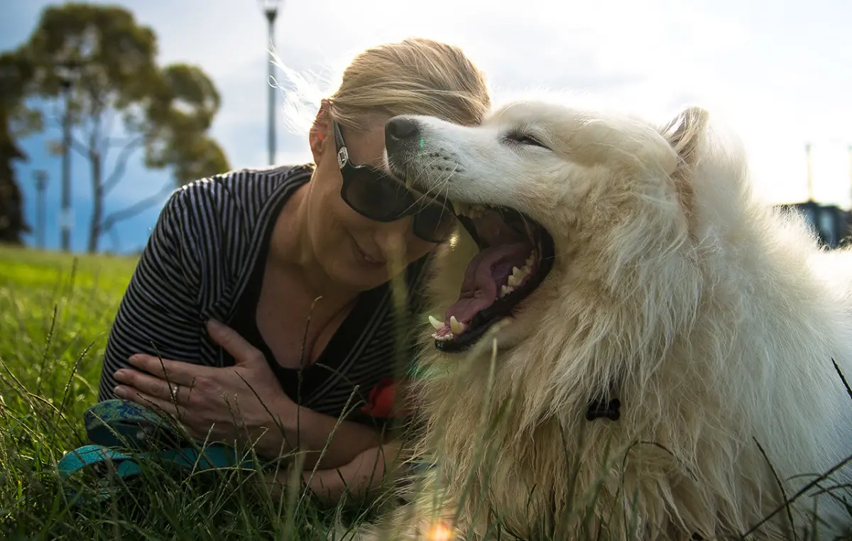 About The Pawsome Ball